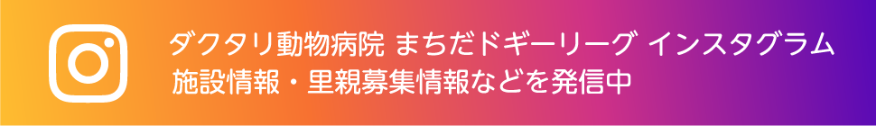 ダクタリ動物病院 まちだドギーリーグ インスタグラム 施設情報・里親募集情報などを発信中