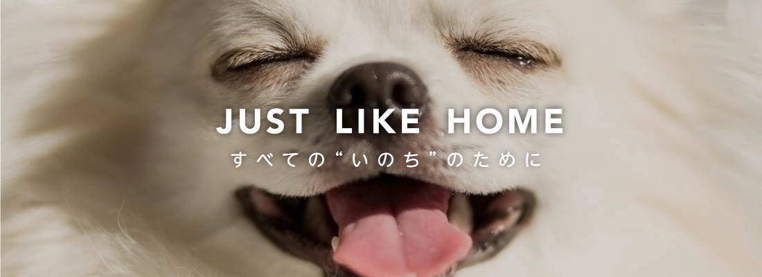 2020年6月11日開院 JUST LIKE HOME すべての“いのち”のために